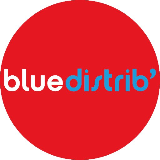 Bluedistrib Bollore Logistics IzyBlue Developpement IT ACSEP Livraison urbaine logistica cadena de suministro supply chain