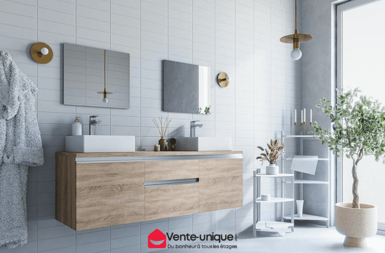 Vente-unique.com Entrepot logistique ACSEP Reflex WMS Intégration