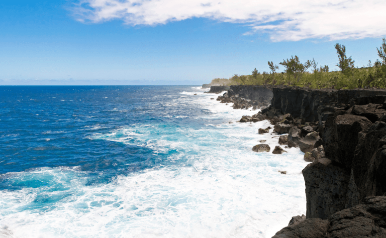 Hébergement informatique La Réunion ACSEP Seal oi logistique
