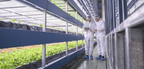 Agroalimentaire